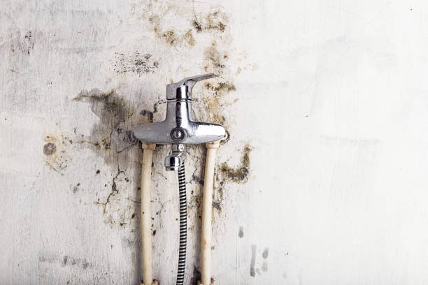 Best Commercial Mold Removal  in Lakehurst, NJ