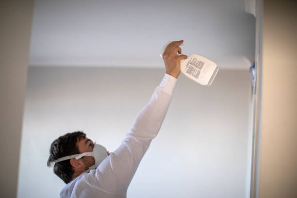 Best Home Mold Removal  in Lakehurst, NJ
