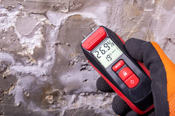 Best Mold Testing  in Lakehurst, NJ