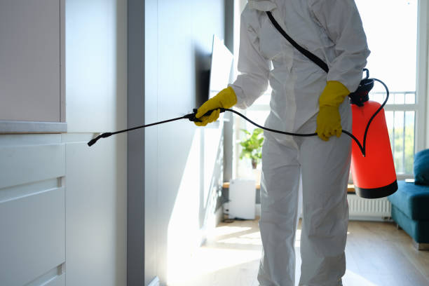 Best Mold Cleaning Services  in Lakehurst, NJ
