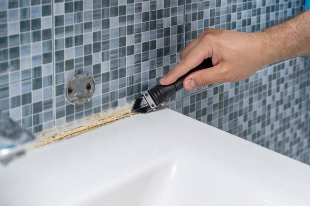 Reliable Lakehurst, NJ Mold Removal Solutions