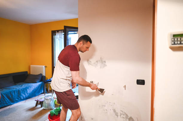 Office Mold Removal Services in Lakehurst, NJ